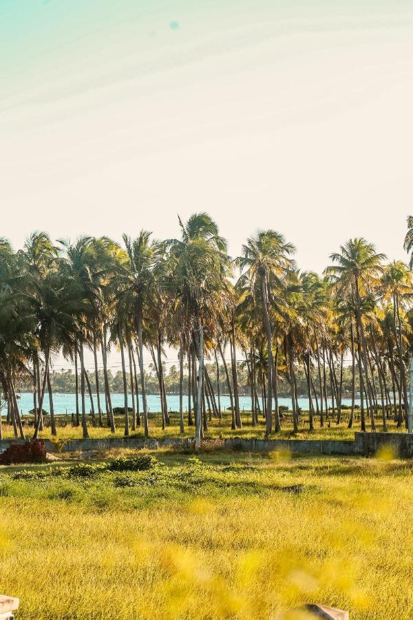 Casa Seriguela - Praia Do Patacho - Rota Ecologica Dos Milagres Pôrto de Pedras Kültér fotó
